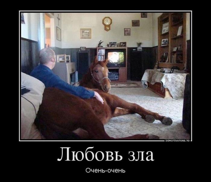 Демотиваторы