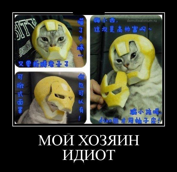 Демотиваторы