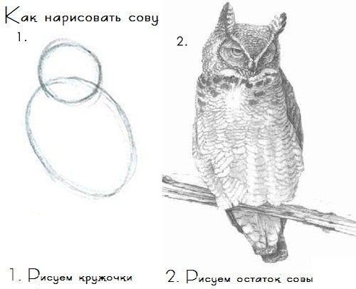 Я рисую как кретин (35 фото)