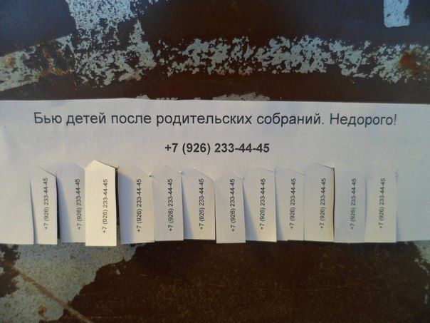 Прикольные картинки (63 фото)