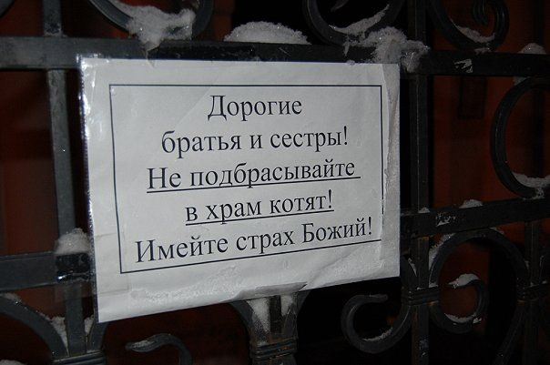 Прикольные картинки (63 фото)