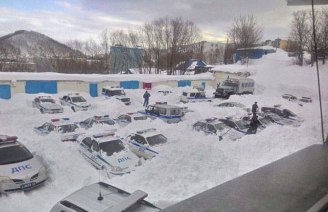 Забавные зимние фотографии