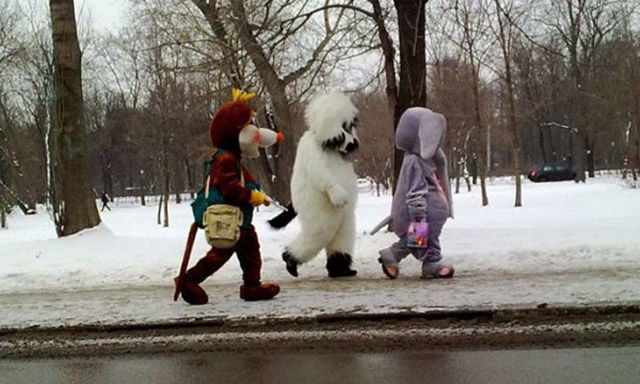 Забавные зимние фотографии