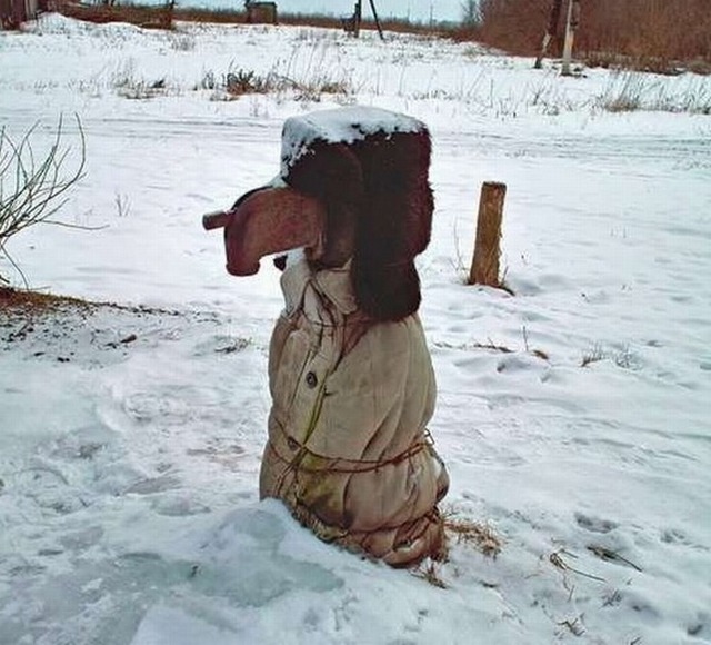 Забавные зимние фотографии