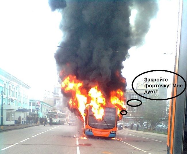 Порция картинок