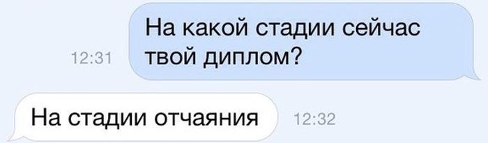 Порция картинок