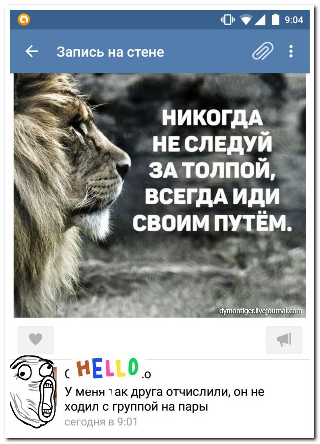 Смешные комментарии из социальных сетей