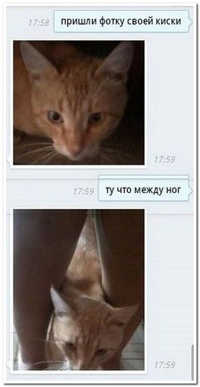 Смешные комментарии из социальных сетей