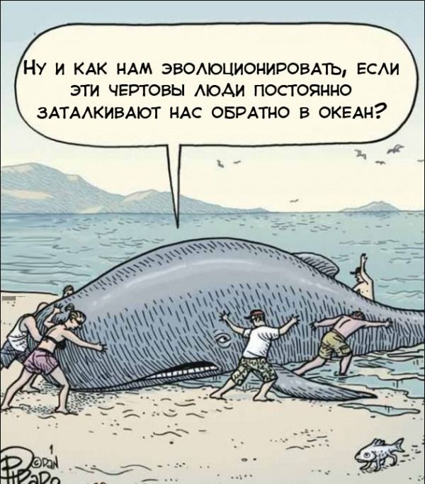 Смешные комиксы