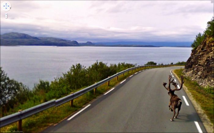 Странные фотографии с Google Street. Часть 2