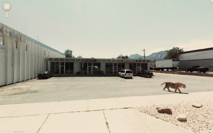 Странные фотографии с Google Street. Часть 2