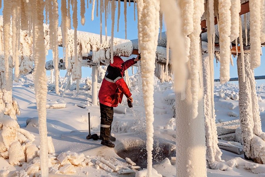 Жители Полярного Круга (23 фото) Жители Полярного Круга (23 фото)