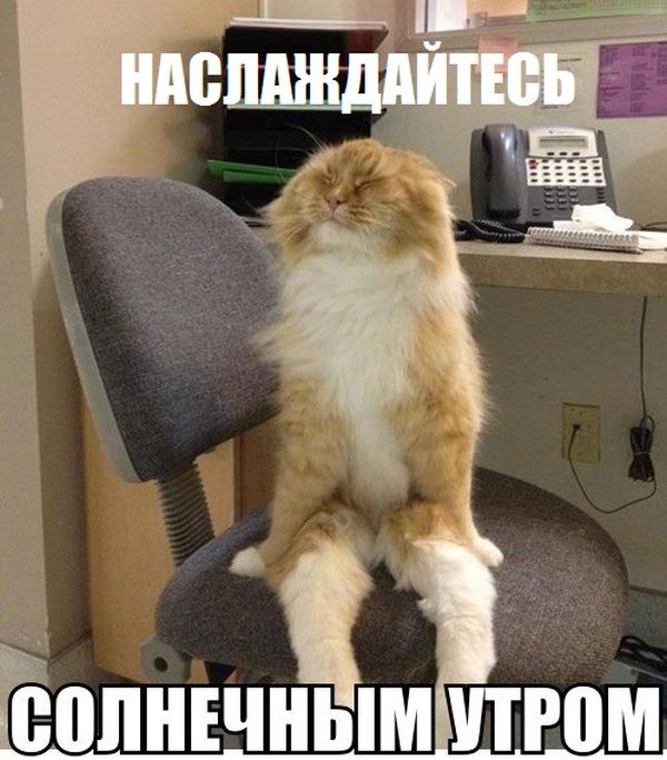 Прикольные картинки (79 фото)
