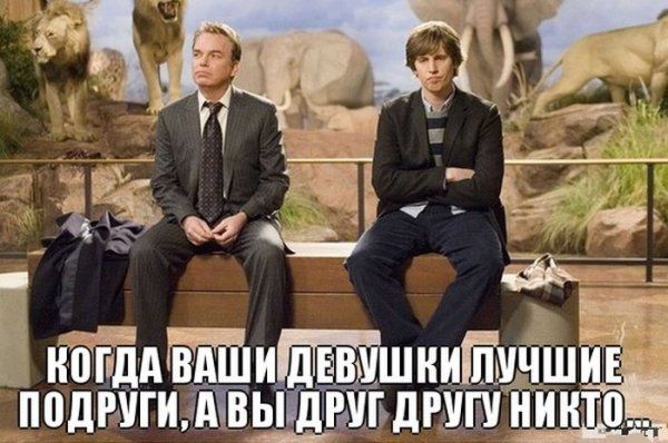 Прикольные картинки (79 фото)