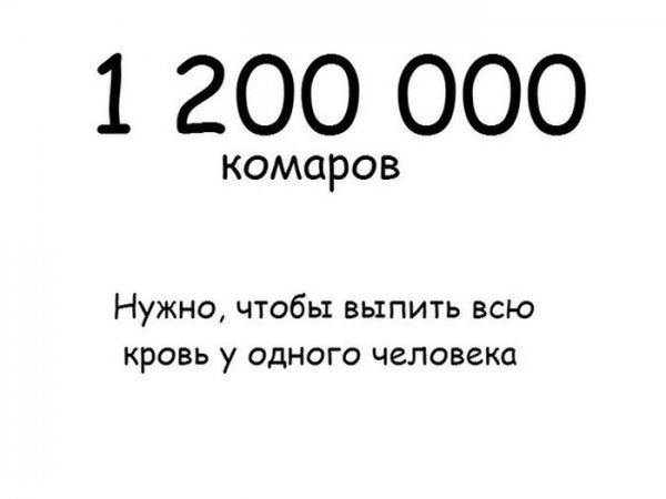 Прикольные картинки (79 фото)