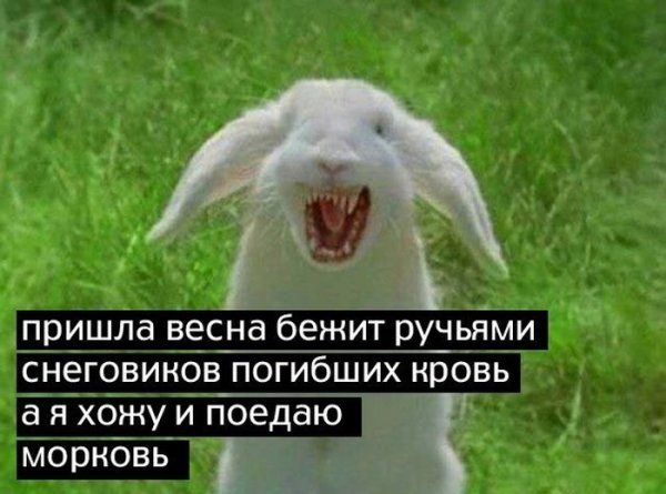 Прикольные картинки (79 фото)