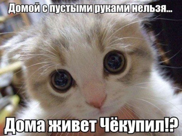 Прикольные картинки (79 фото)