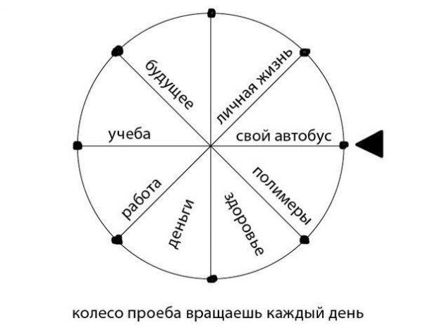 Прикольные картинки (79 фото)