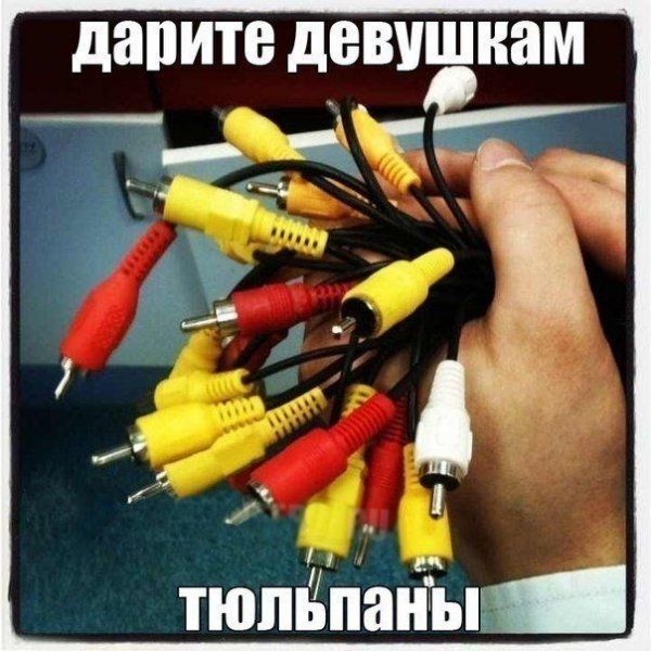 Прикольные картинки (79 фото)