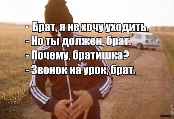 Прикольные картинки (79 фото)