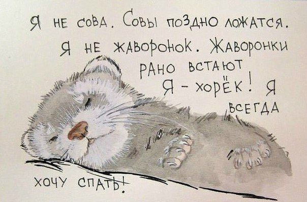 Прикольные картинки (79 фото)
