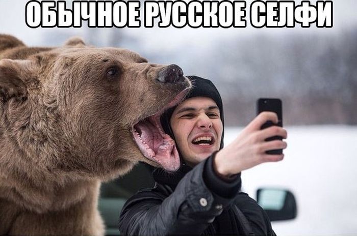 Порция картинок