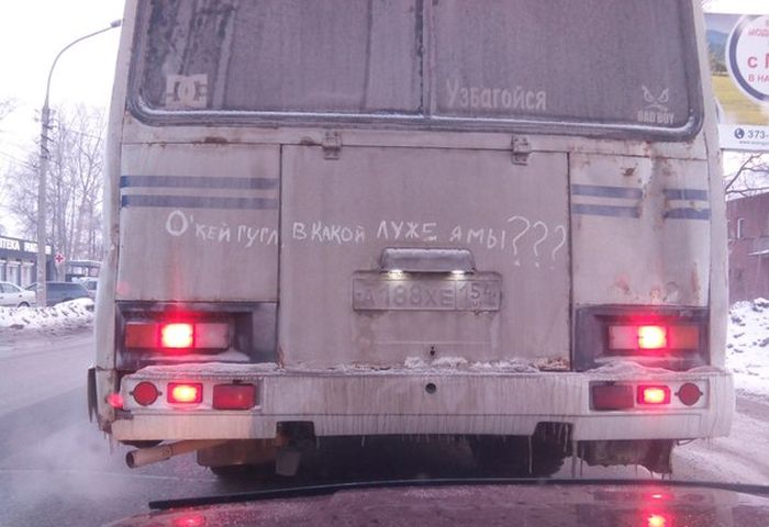 Порция картинок