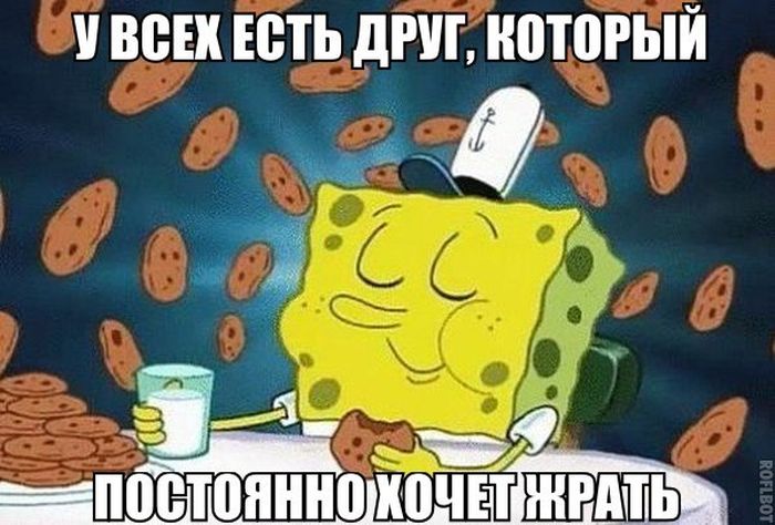 Порция картинок