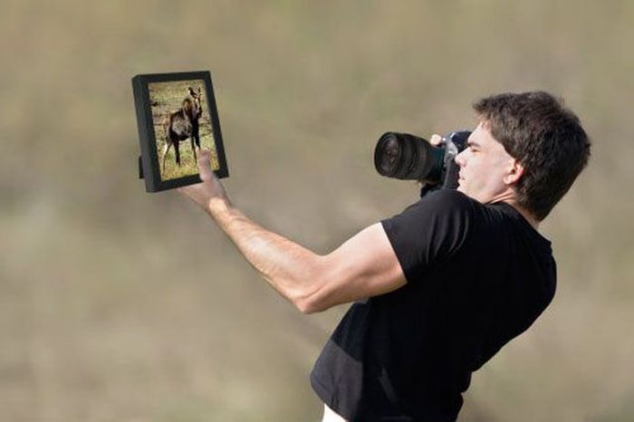 Мастера фотошопа
