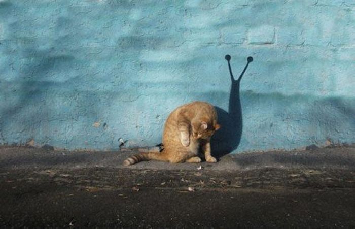 Мастера фотошопа