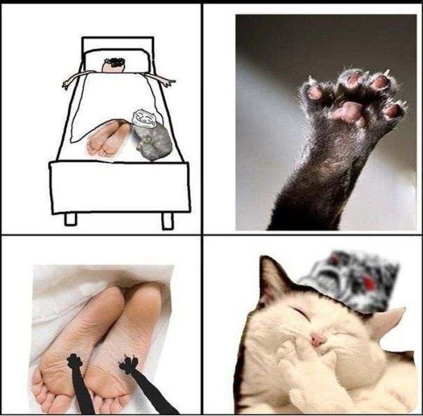 Прикольные картинки