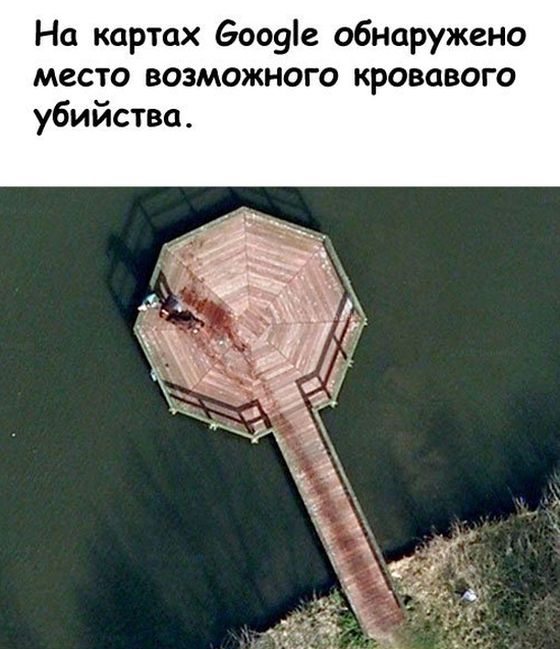 Убийство на Google Maps? (6 фото)