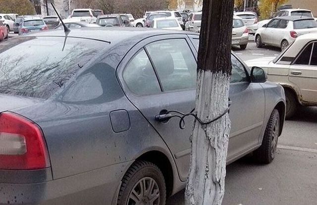 Прикольные картинки (82 фото)
