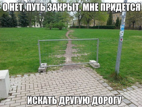 Прикольные картинки (82 фото)