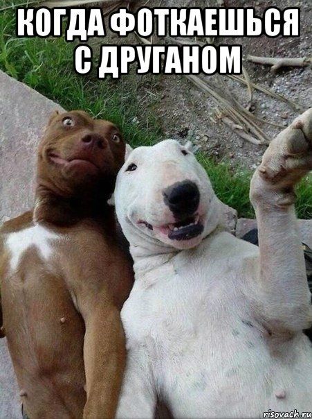 Прикольные картинки (82 фото)