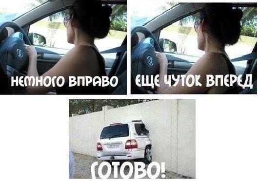 Прикольные картинки (82 фото)