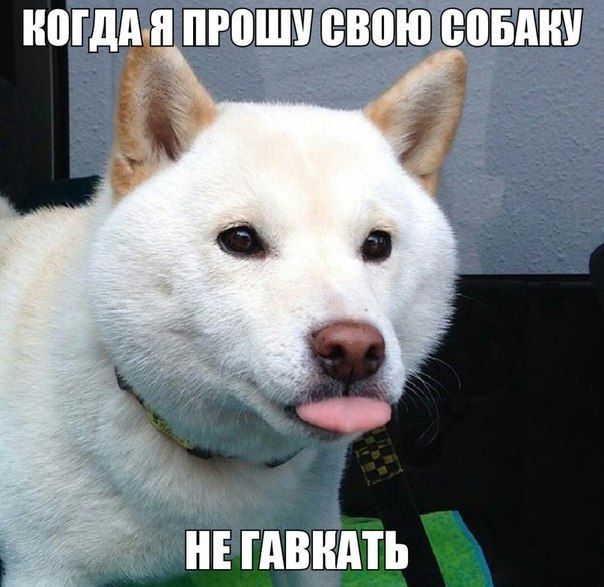 Прикольные картинки (82 фото)