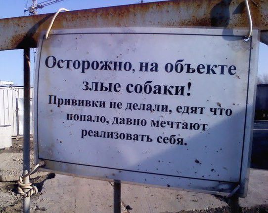 Прикольные картинки (82 фото)