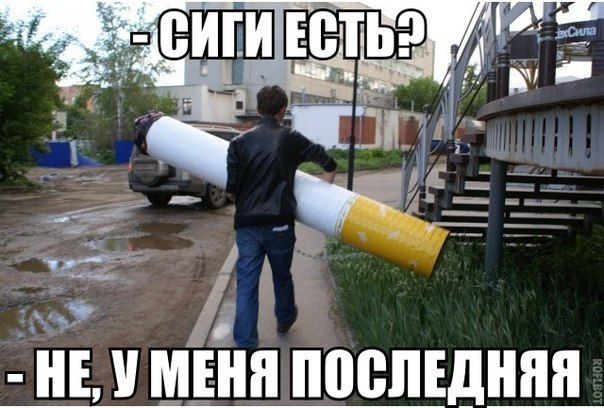 Прикольные картинки (82 фото)
