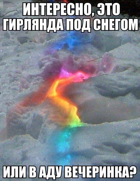 Прикольные картинки (82 фото)