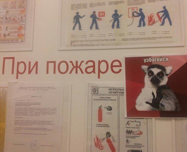Прикольные картинки (82 фото)