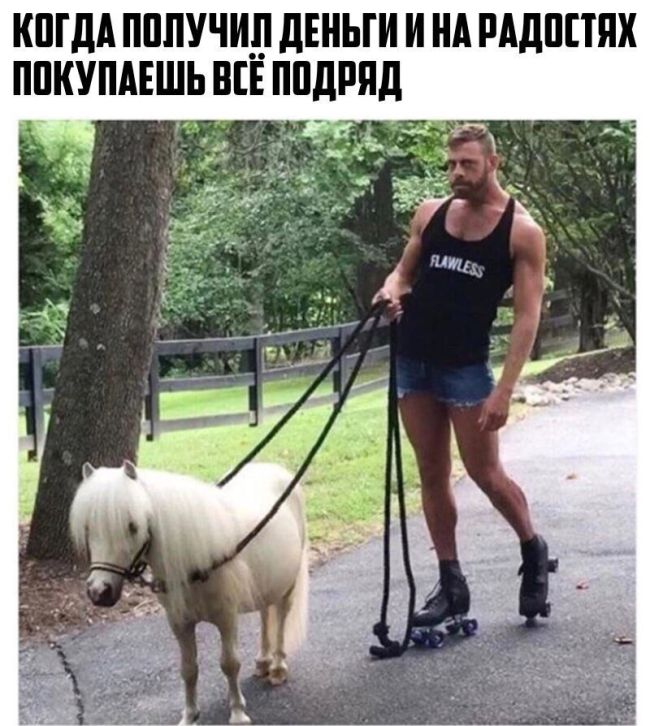 Прикольные картинки