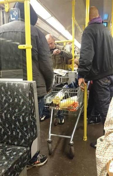 Прикольные картинки