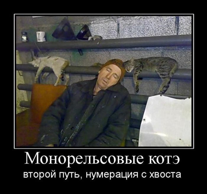 Демотиваторы