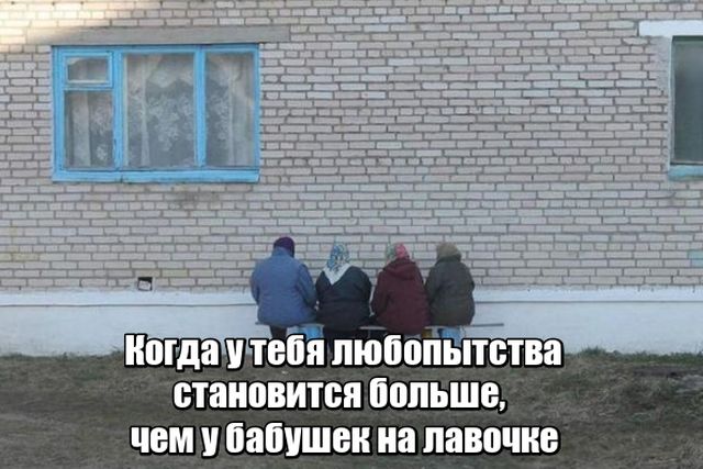 Прикольные картинки