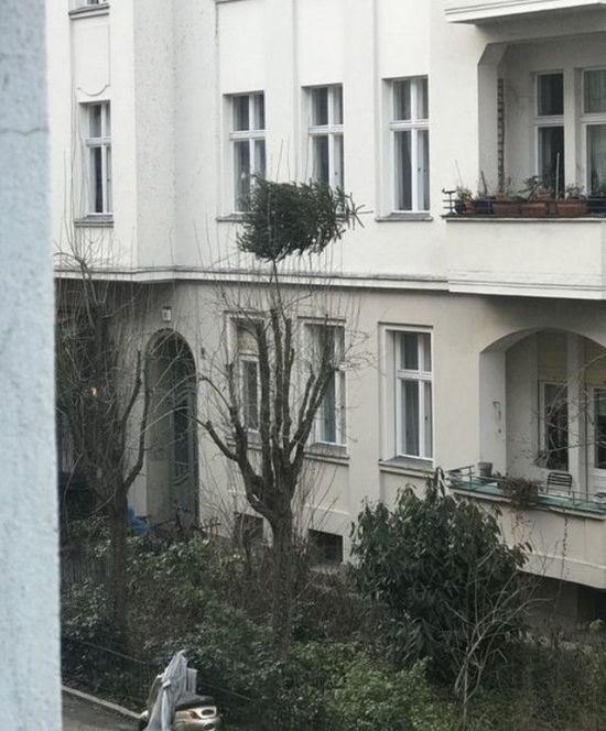 Соседские приколы Соседские приколы