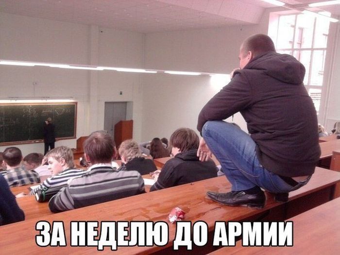 Порция картинок