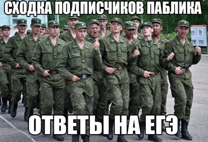 Порция картинок