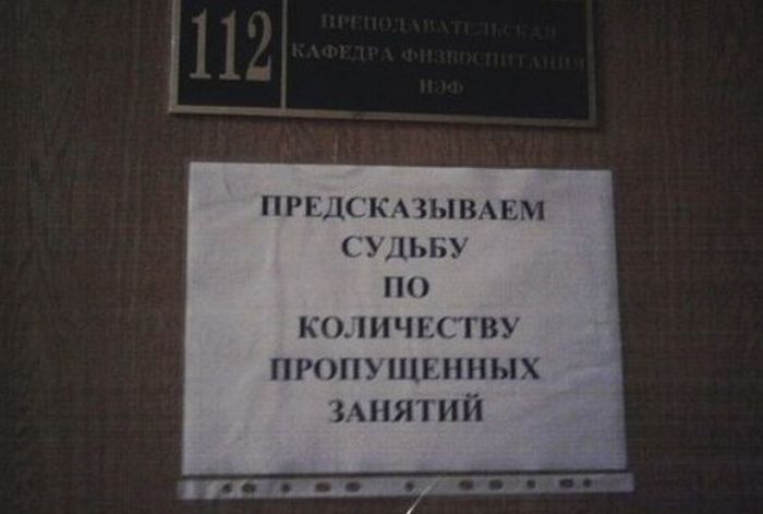 Порция картинок