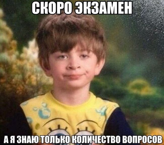 Порция картинок